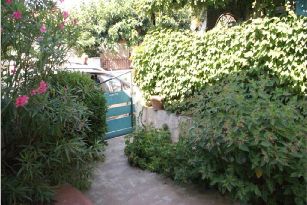 Belle Maison Avec Jardin A 1Mn De La Plage Le Grau-dʼAgde Eksteriør billede